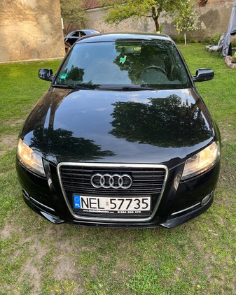 Audi A3 cena 25000 przebieg: 221751, rok produkcji 2010 z Wrocław małe 172